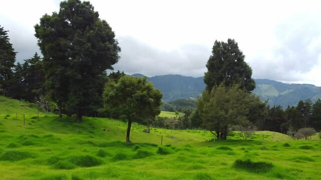 landscape with trees and clouds