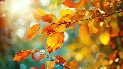 Autumn foliage in natural setting image