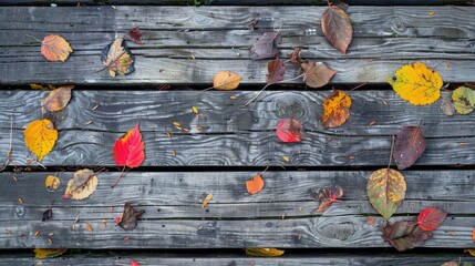 Autumn leaves against weathered wooden boards