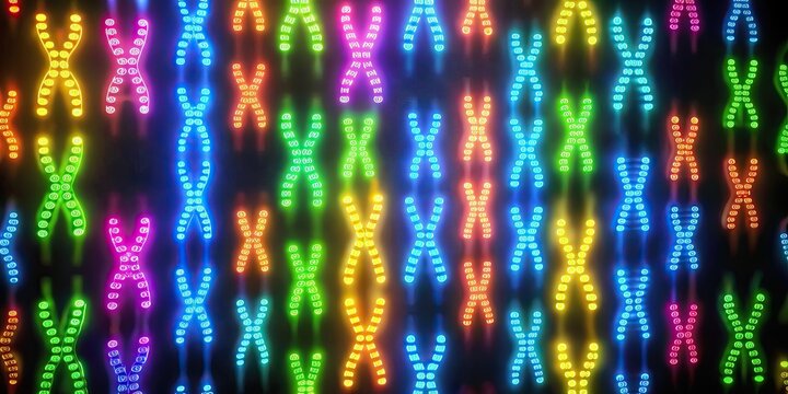 Genetic inheritance patterns for autosomal chromosomes, inheritance, genetics, genes, heredity, chromosomes, traits