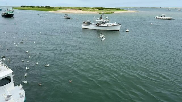 Chatham Harbor Cape Cod Fishing Boat Seagulls