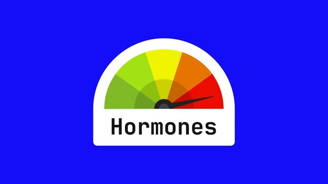 hormones animated speedometer measuring low to high with chroma blue screen background