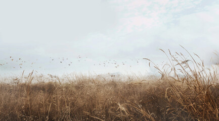 Analogical photograph of a countryside