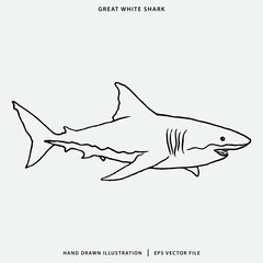 Hand Drawn Illustration of Great White Shark for Coloring Book