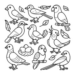 Birds Handdrawn Doodle Illustration