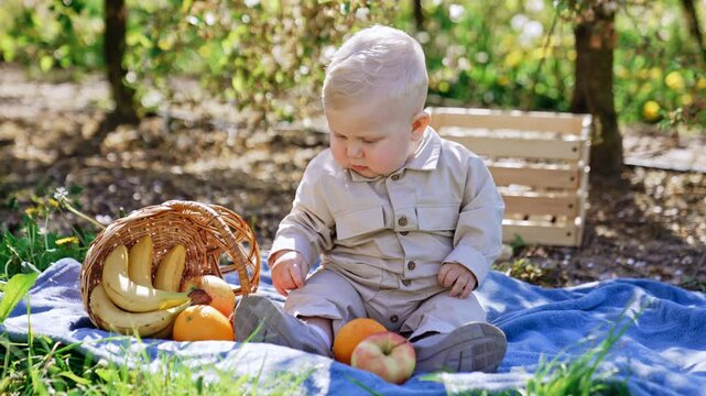 Adorable baby boy with blond hair sits on the blanket outdoors. Kid plays with fruit, picks an apple and tries to bite it. Blurred nature at backdrop.