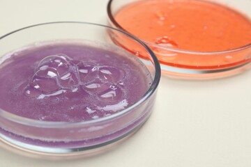 Petri dishes with samples on beige background, closeup