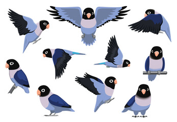 Lovebird Blue Bird Parrot Masked Various Poses Vector Illustration