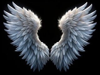 Obraz premium Delicate, majestic white angel wings spread wide, isolated on a dramatic black background, showcasing intricate feathers and soft, ethereal lighting from directly above.