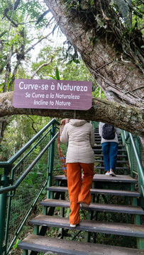 sign, woman, forest, nature, park, tree, walking, child, wood, outdoors, people, trees, path, couple, trail, summer, road, bridge, jeans, hiking, spring, outdoor, walk, boy, person