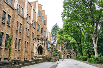 東京大学