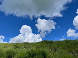 Obraz premium 青空