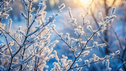Obraz premium Natural background with frost covered branches, frost, winter, cold, nature, icy, snowy, branches, beautiful, seasonal