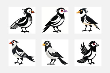 set of birds vector illustration