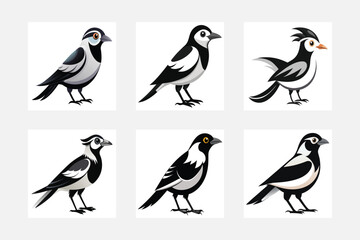 collection of birds