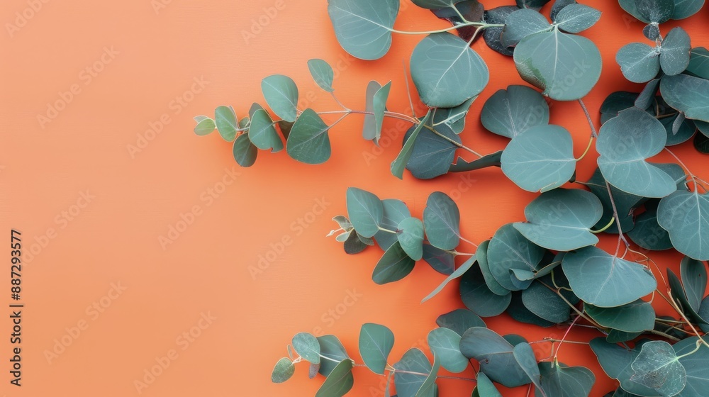 Canvas Prints mock up design with eucalyptus leaves on a soft orange backdrop for bloggers and invitations ample s