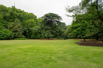 Obraz premium path in the park