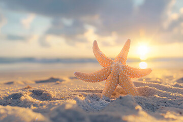 Starfish on a beach during sunset hour. Copy space.