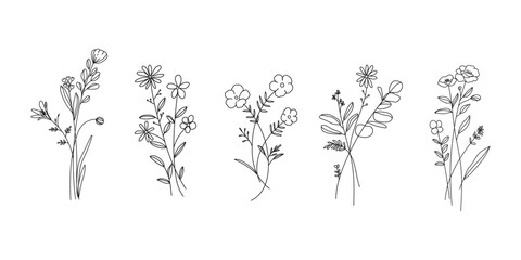 minimal line flower and botanical graphic sketch drawing, trendy tiny tattoo design, floral elements vector illustration