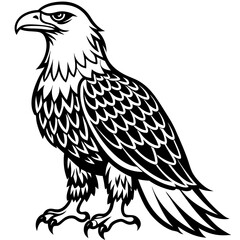 Obraz premium Eagle icon silhouette vector art illustration