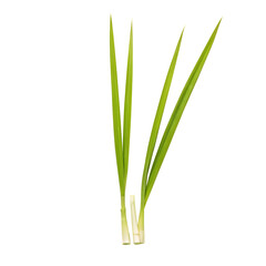 Obraz premium lemongrass isolated on transparent background