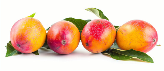 A copy space image of mangos placed on a clean white background