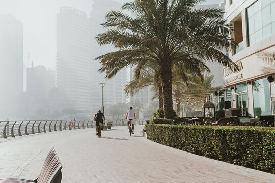 Morning waterfront promenade with palm trees and cyclists on modern marina walkway