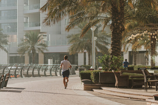 Morning waterfront promenade with palm trees and jogger on modern marina walkway