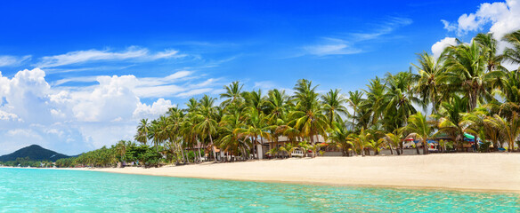 Sea beach panorama, paradise tropical island landscape, turquoise ocean water, palm trees, sand, sun blue sky white cloud, summer holiday, vacation, travel, MaeNam, Koh Samui, Thailand, Southeast Asia