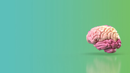 The pink brain for eduction or creative concept 3d rendering.