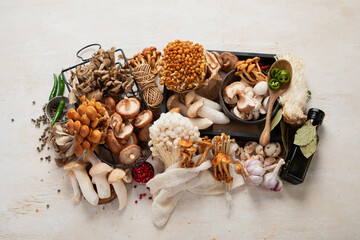 mushrooms collection. Healthy food concept. Top view