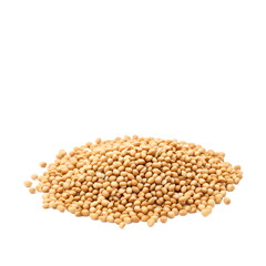 sesame isolated on transparent background