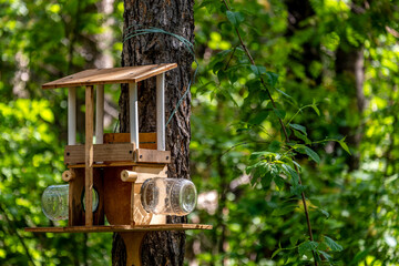 Birdhouse with bird feeders on a tree in the forest.