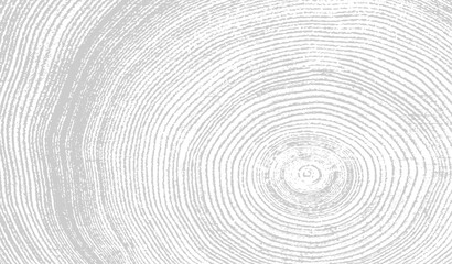 Gray and white Tree rings end grain print stamp illustration. Plain leaf sketched art background.