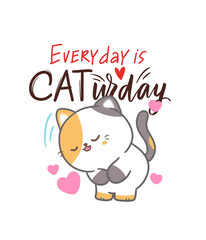 Everyday catday