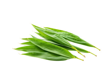 Fototapeta premium Pandan leaves isolated on transparent background