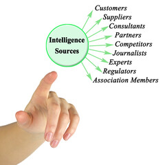  Nine Intelligence Sources for Business