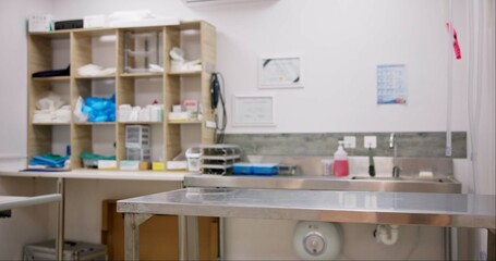 Empty room, vet and pet clinic with equipment for animal care, sanitary or domestic healthcare. Interior of medical facility, shelter or veterinary center with operating table, tools or products