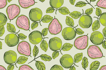 seamless pattern guava vector drawing
