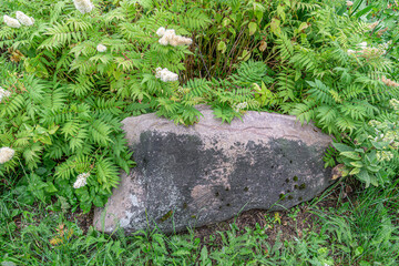 Obraz premium Large granite stone lies on the grass in the garden. Detailed photo of big granite stone. 