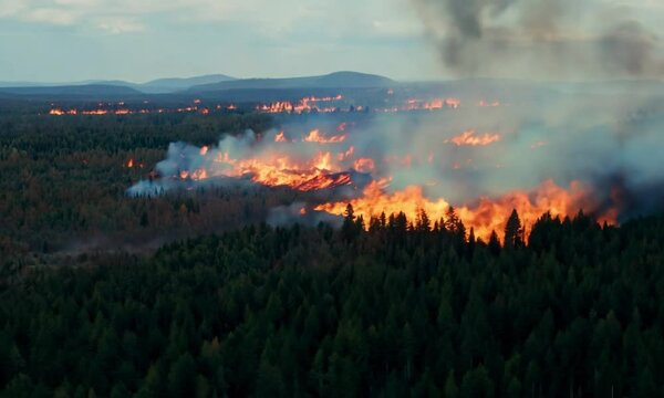 A large wildfire spreads across a vast forest, with towering flames and thick smoke obscuring the sky, emphasizing the destructive power and uncontrollable nature of the blaze