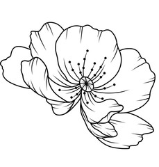 Floral Line Art