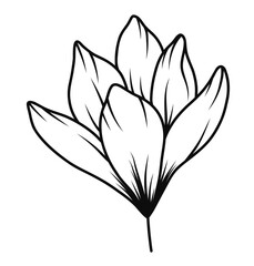 Floral Line Art