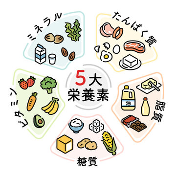 五代栄養素