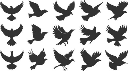 Various Flying birds vector set icons silhouettes style with white background