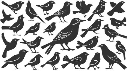 Various Flying birds vector set icons silhouettes style with white background