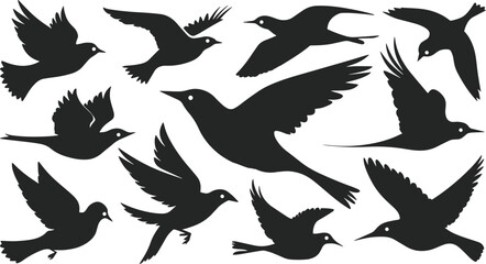 Various Flying birds vector set icons silhouettes style with white background