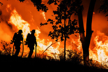 Obraz premium Two firefighters in protective gear courageously fighting a large, intense forest fire during sunset, with trees and flames vividly shown, highlighting bravery and danger.