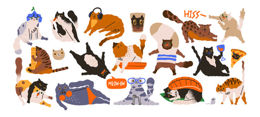 Cute cats set. Different amusing kittens have fun, washing, play, relax. Comic kitties scratching, stretching. Funny pets, domestic animals. Flat isolated hand drawn illustrations on white background