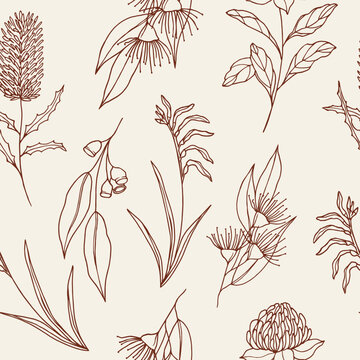 Hand drawn Australian native flowers and plants background